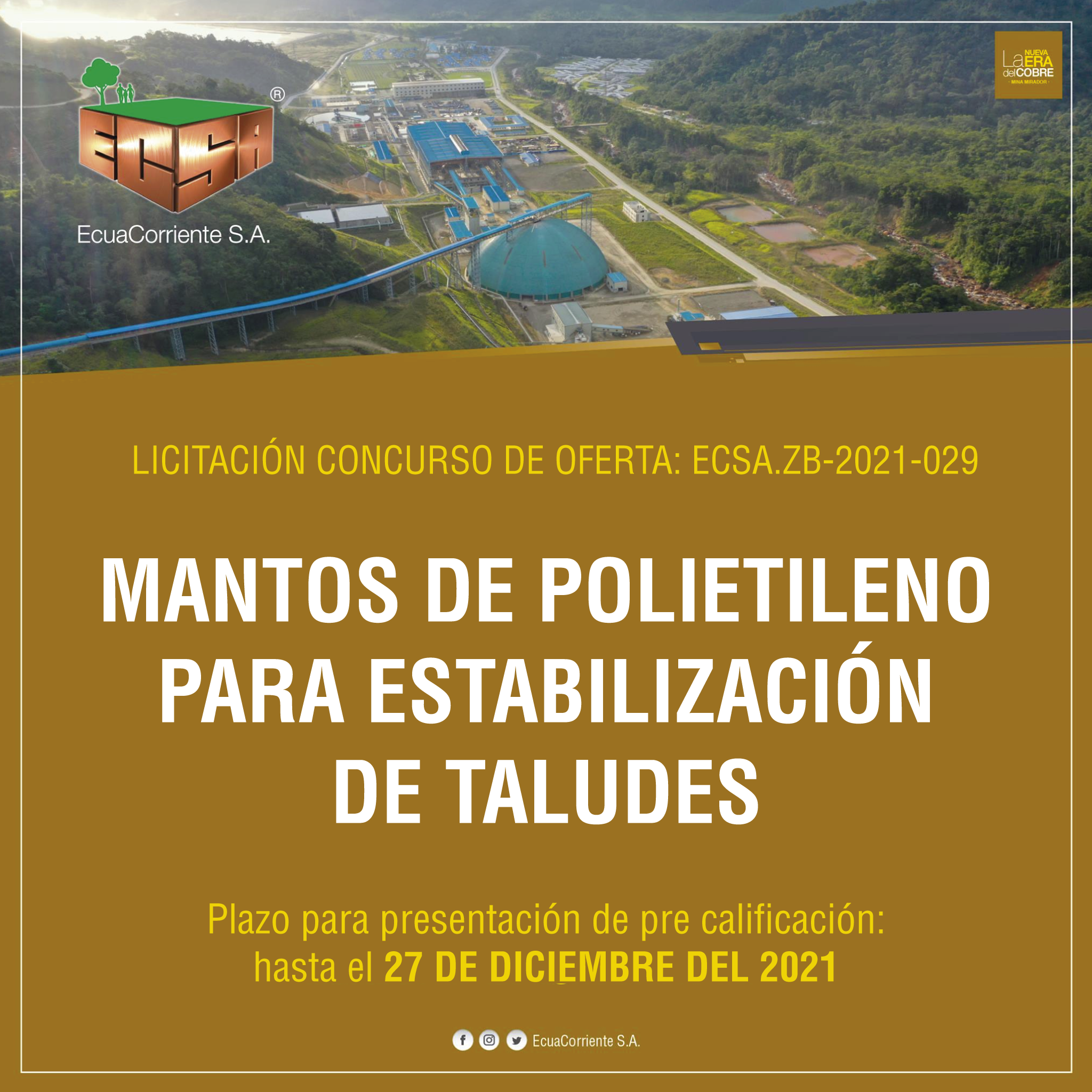 生态网和锚杆招标公告 Anuncio de Licitación Pública de mantos para estabilizacion de taludes y anclajes